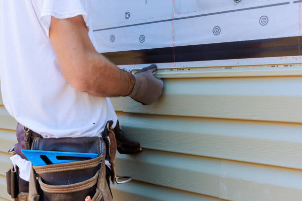 Affordable Siding Repair solutions in Lemont, IL